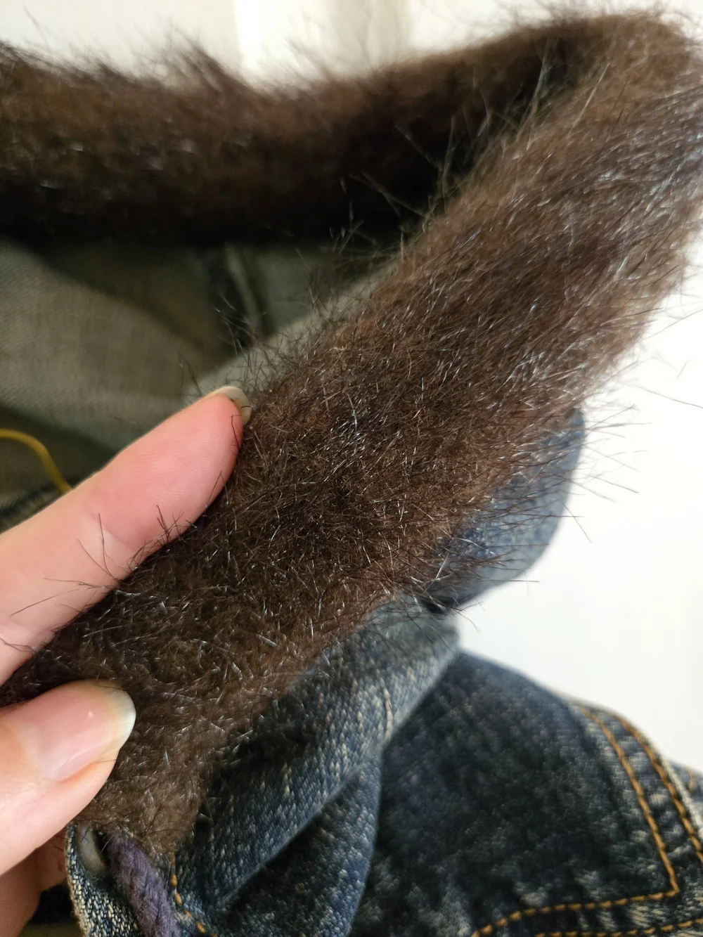 Younique Vintage Hooded Jean Jacket with Faux Fur Trim